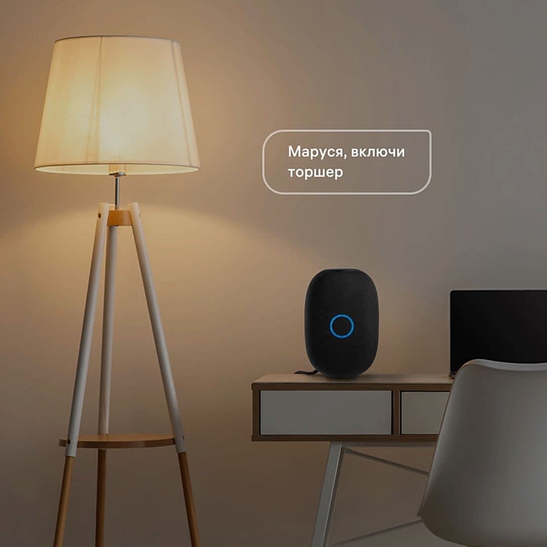 «Умный дом» на основе колонки VK Капсула