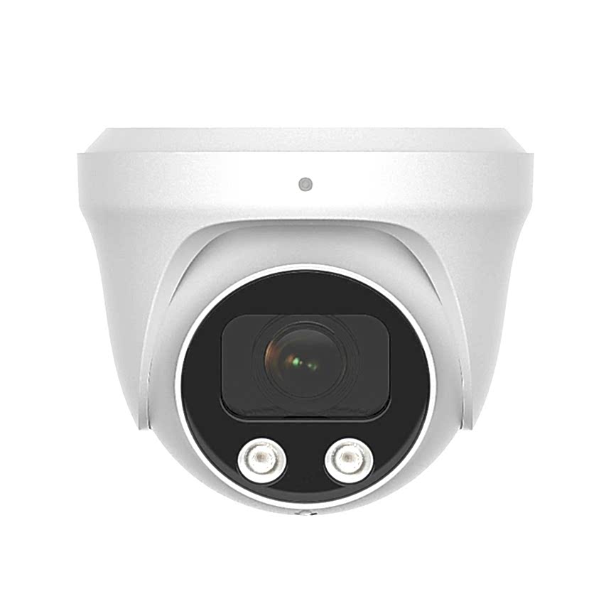  Видеокамера купольная (моторизованный объектив)