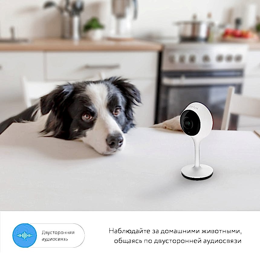 Wi-Fi камера RV-3419